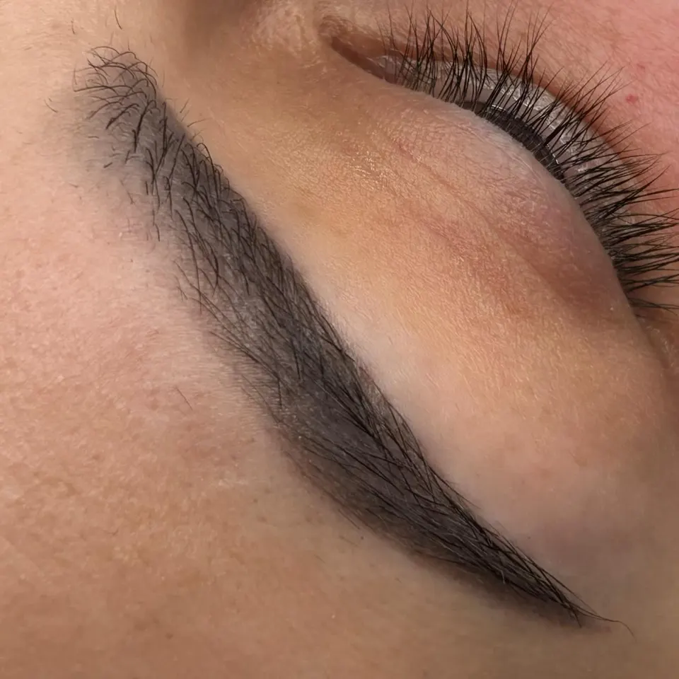 Healed permanent brows